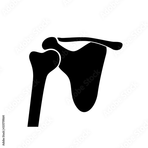 Human shoulder joint anatomy.