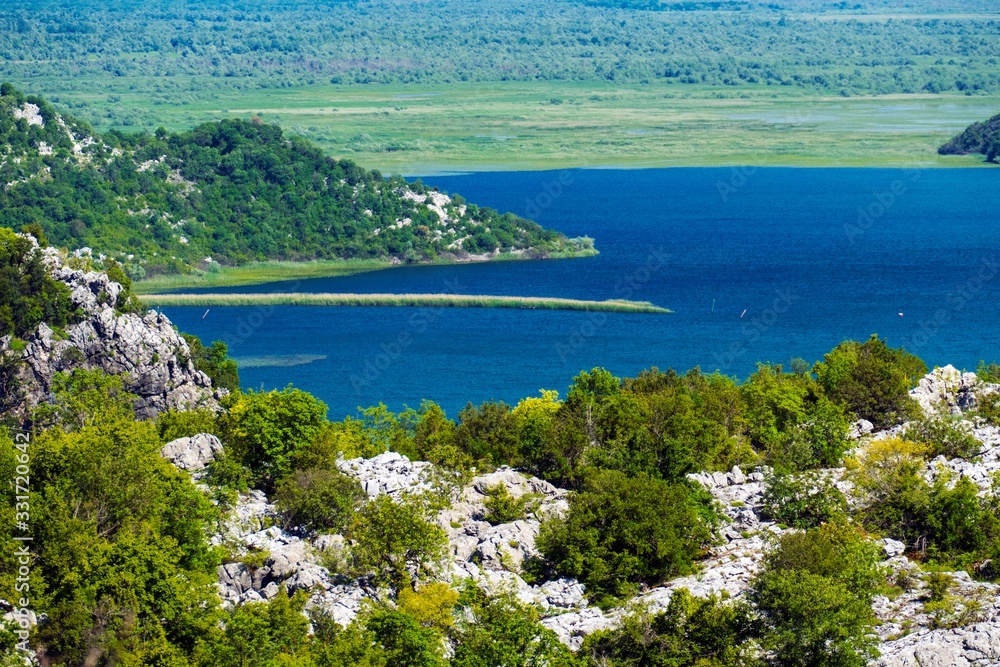Naklejka premium forest