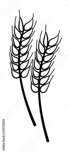Cartoon style isolated wheat in black lines on white background