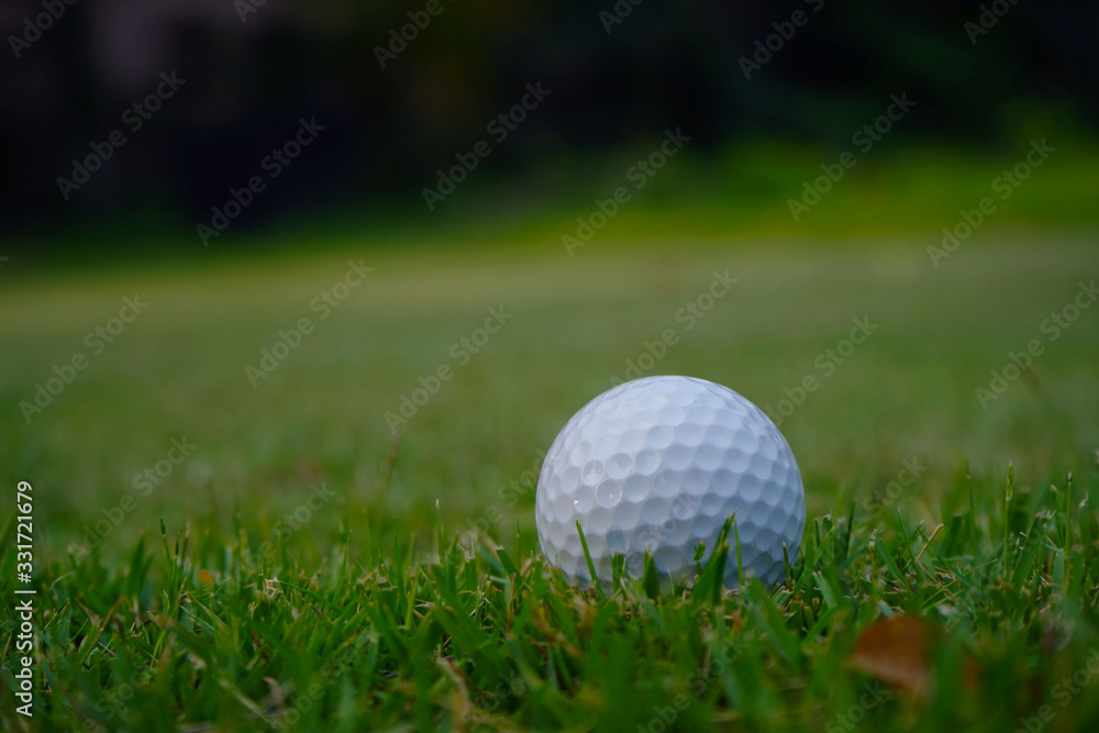 Obraz premium Golf ball on green in beautiful golf course at sunset background.