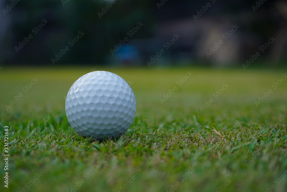 Golf ball on green in beautiful golf course at sunset background. Golf ball on green in beautiful golf course at sunset background.