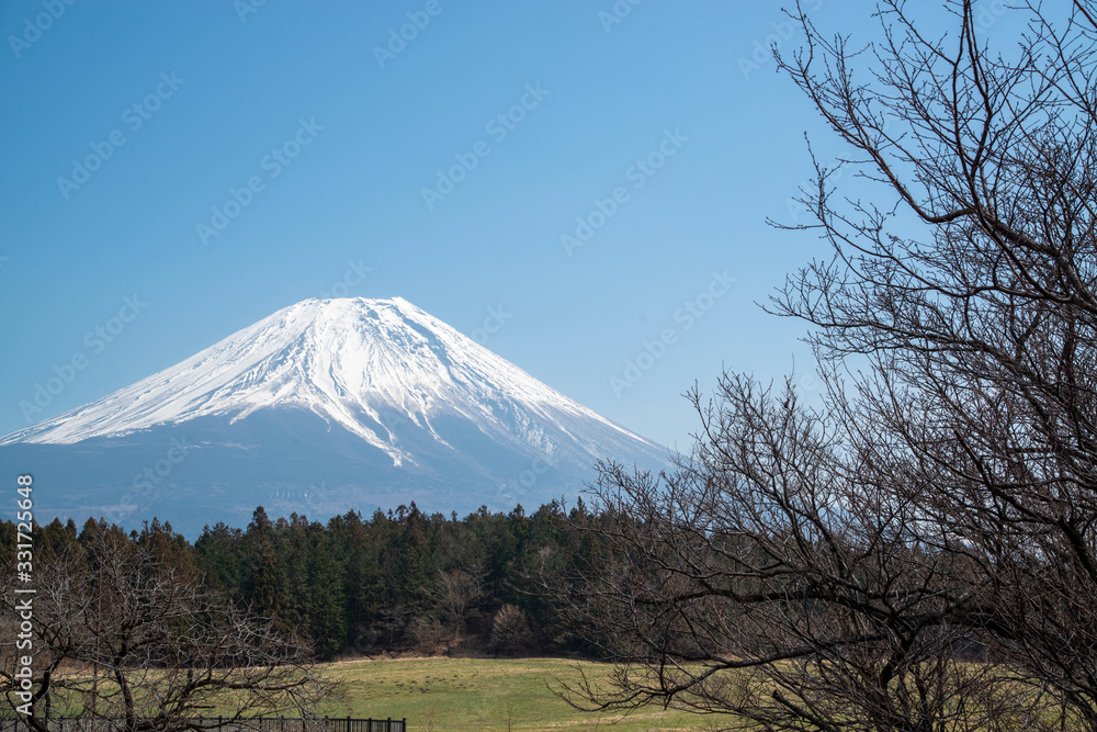Obraz premium 広場と富士山 快晴の空