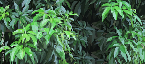 green background of thickets with dense lush foliage of a tree