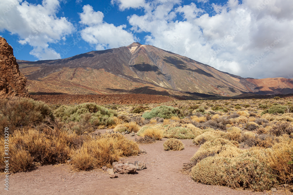 Multicolor volcanic landscape with view of Teide volcano in Teide national park, Tenerife, Canary Islands, Spain.