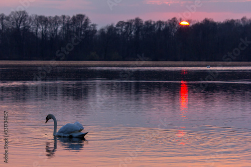 Abendstimmung photo