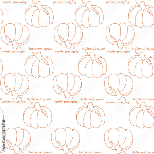 Orange pumpkin muscat pattern linear vector vegetable