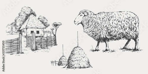 Sheep  farm  bales of hay in a graphic style  freehand drawing of the image. The template for the design of the packaging of farm products and signage natural food stores