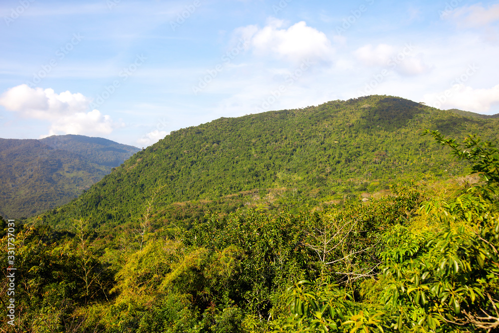Mountains in the jungle on the island.