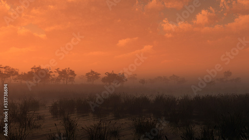 Grassland with trees under cloudy sky at sunset. 3D render.