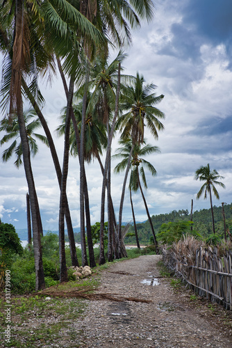 Footpath on a tropical beach with palm trees  tropical forest and fence branches on Baucau beach  Timor leste
