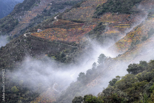 Picturesque landscape of Vineyards on Steep Slopes