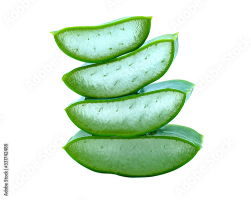 Wallpaper Mural Aloe vera fresh leaf isolated on white background, is a very useful herbal remedy for skin care and hair care. Torontodigital.ca