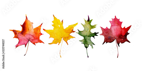 Autumn maple leaves, set of elements for design, watercolor illustration.
