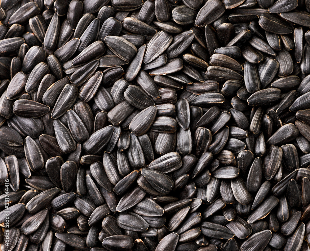 Sunflower seeds background. The view from the top. Sunflower seeds background. The view from the top.