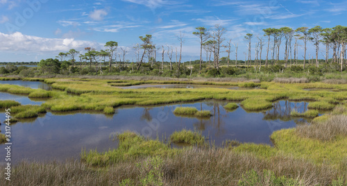 The wetlands of Assateague Island, part of the US National Park Service, in the Summer photo