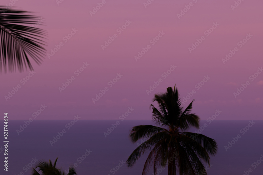 Purple sunset and black palm silhouettes