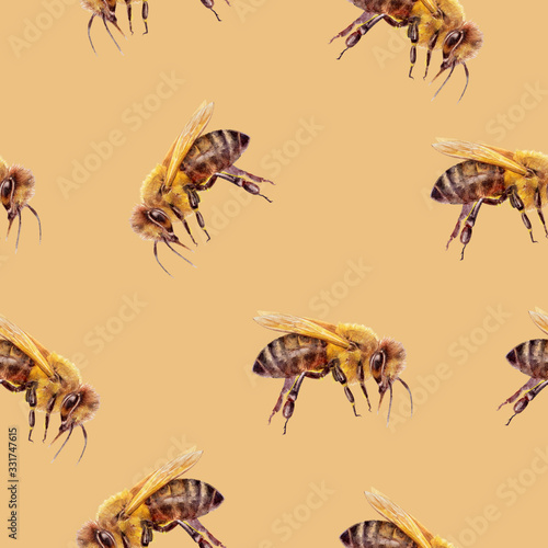 Honey bee hand drawn watercolor illustration. Seamless pattern.