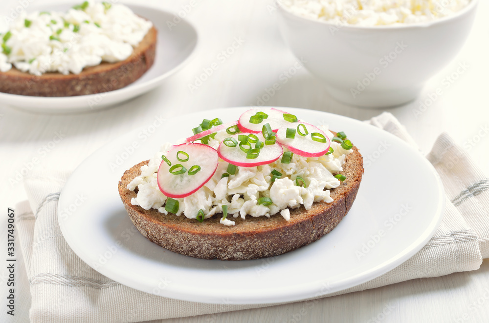 Appetizer with curd cheese, radish and green onion Appetizer with curd cheese, radish and green onion