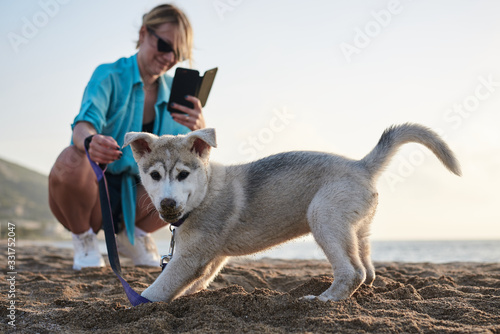Young pretty blond woman, taking picture on her phone of her small husky puppy. Owner and the light grey dog, playing on the sandy beach at sunset.
