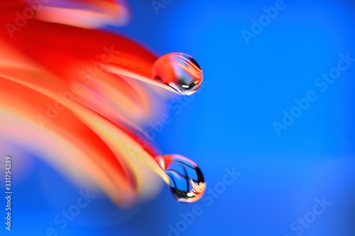 Gentle reflection on the water droplets macro photo