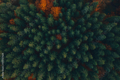 Ladscape drone photo of mountains and trees colored into fall colors. 