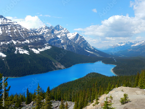 View of Peyto Lake in Banff National Park in the Canadian Rockies