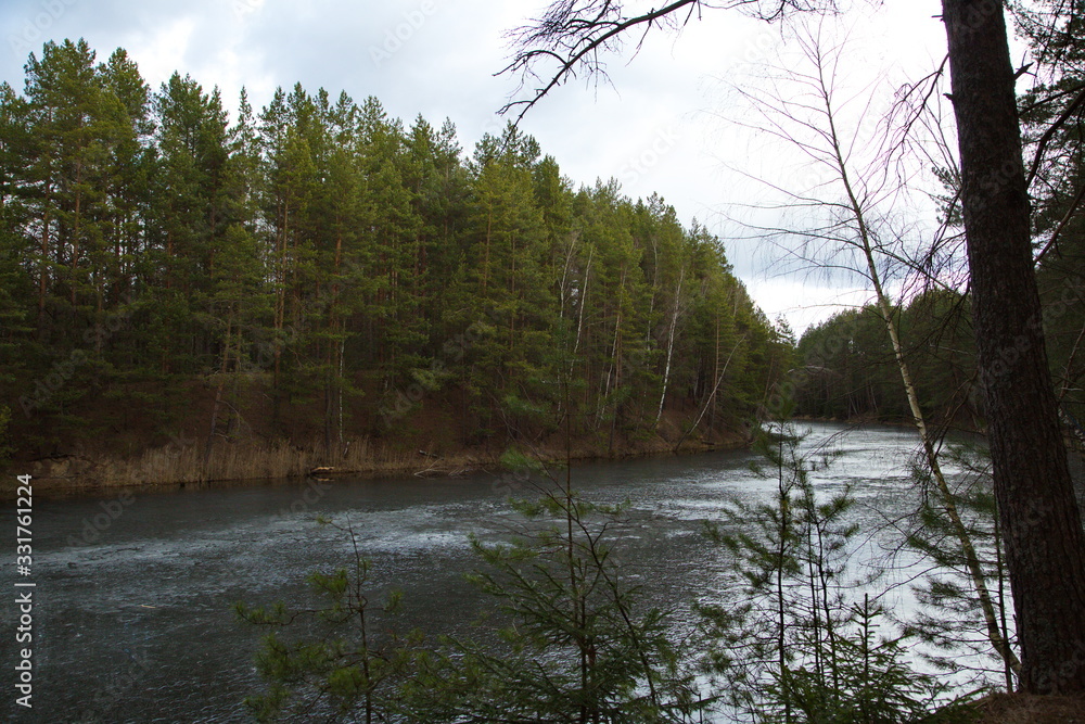 Obraz premium A river in a pine forest in Central Russia.