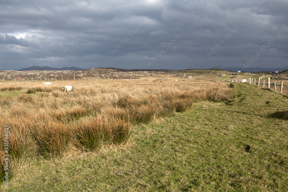 Inishbofin Island