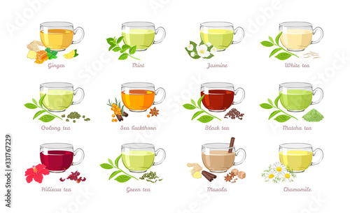 Set of tea of ​​different types. Vector illustration of collection of popular drinks in cartoon flat style. Glass cups isolated on white background.