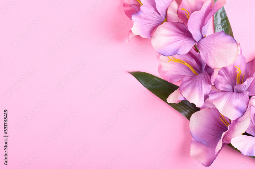 Decorative flowers on pink background composition. Decorative flowers on pink background composition.