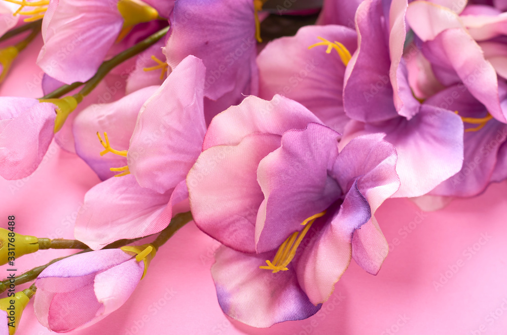 Decorative flowers on pink background composition. Decorative flowers on pink background composition.