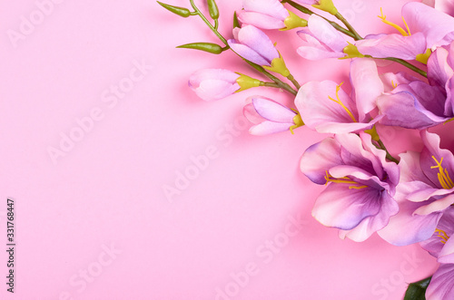 Decorative flowers on pink background composition.
