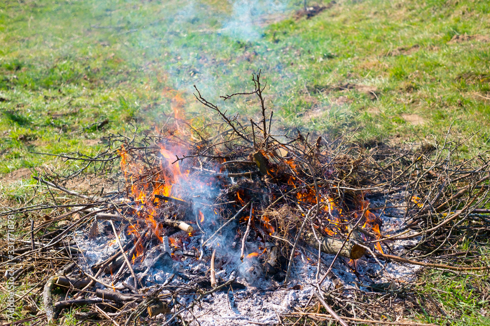 Fire and Smoke from during Burning of garden branches Fire and Smoke from during Burning of garden branches