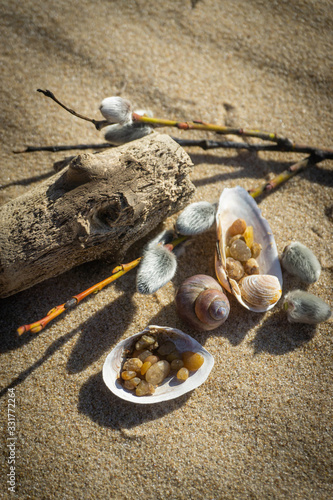 Decoration of small sea things on the sand near the baltic sea in spring