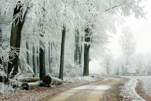 Winterlandschaft, Schnee, Frost, Landschaft, Himmel, 