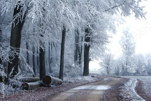 Winterlandschaft, Schnee, Frost, Landschaft, Himmel, 