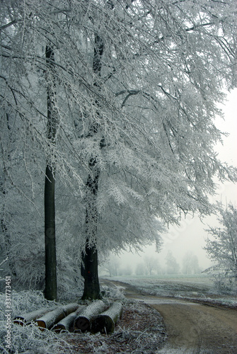 Winterlandschaft, Schnee, Frost, Landschaft, Himmel, 