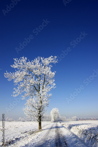 Winterlandschaft, Schnee, Frost, Landschaft, Himmel, 
