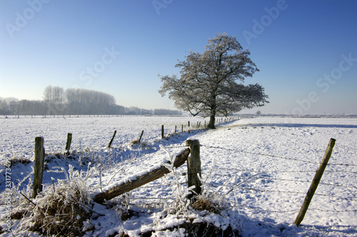 Winterlandschaft, Schnee, Frost, Landschaft, Himmel, 