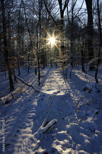 Winterlandschaft, Sonnenstrahl Schnee, Frost, Landschaft, Himmel, 