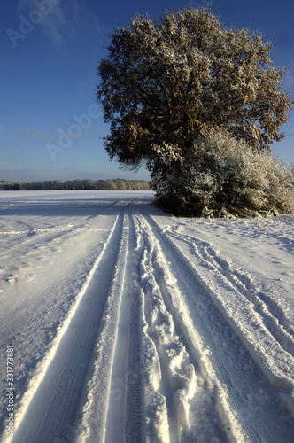 Winterlandschaft, Schneespuren, Schneespur Schnee, Frost, Landschaft, Himmel, 