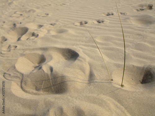 Sand, Sandspuren, Düne
