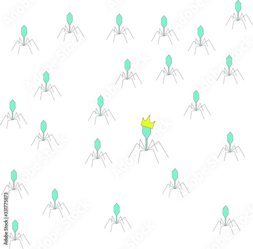 Many viruses including one in the crown