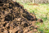 Piles of cow manure on the farm to fertilize the ground