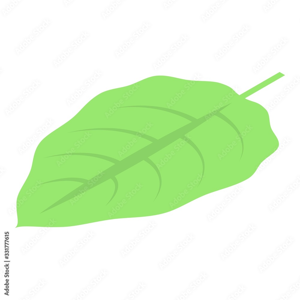 Physalis leaf icon. Isometric of physalis leaf vector icon for web design isolated on white background Physalis leaf icon. Isometric of physalis leaf vector icon for web design isolated on white background