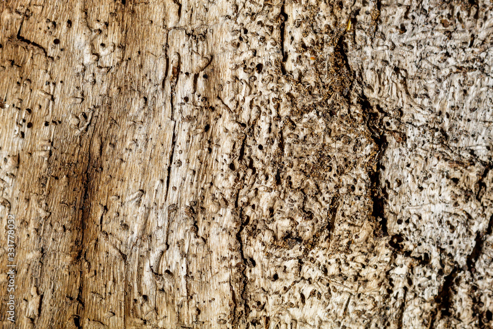 Old Weathered Brownish Wood Texture Old Weathered Brownish Wood Texture