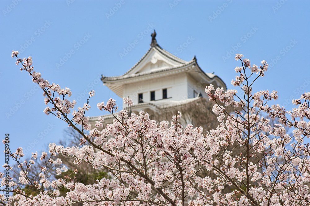 Cherry blossoms with Himeji castle in the background in soft focus during the Sakura spring season in Himeji, Hyogo Prefecture, Japan Cherry blossoms with Himeji castle in the background in soft focus during the Sakura spring season in Himeji, Hyogo Prefecture, Japan