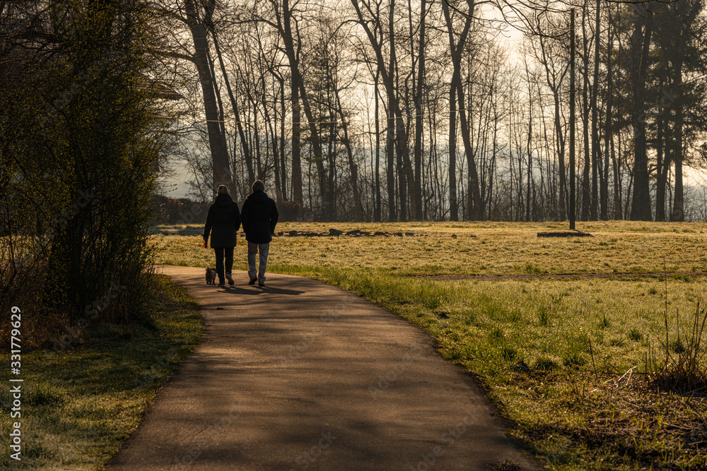 two people walking away with dog on a sunny morning after sunrise with warm light face not visable two people walking away with dog on a sunny morning after sunrise with warm light face not visable