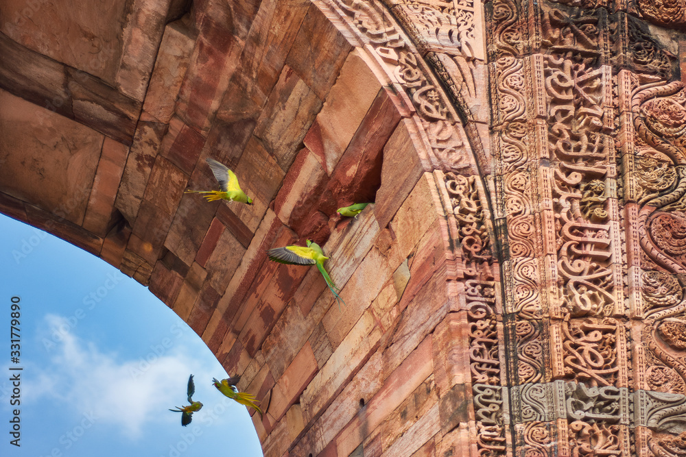 Rose-ringed parakeets (Psittacula krameri) green parrots next to the decorated stone arch in Qutb Minar complex, UNESCO World Heritage Site in Delhi, India