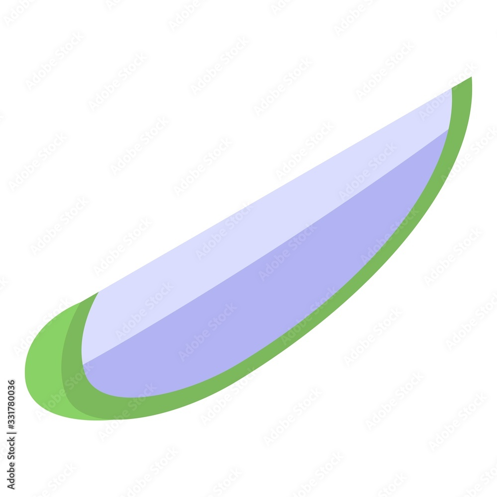 Soursop slice icon. Isometric of soursop slice vector icon for web design isolated on white background Soursop slice icon. Isometric of soursop slice vector icon for web design isolated on white background